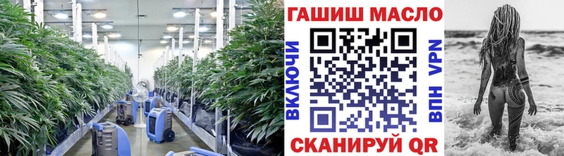 гидра зеркало  цена наркотик  Железногорск  ТГК жижа 