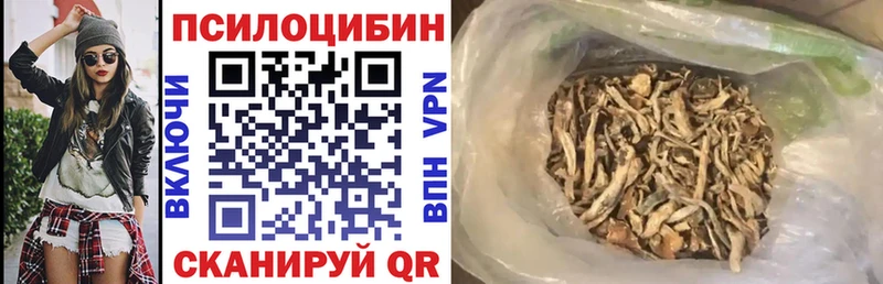 Псилоцибиновые грибы Cubensis  Железногорск 